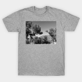 Trees in the desert T-Shirt